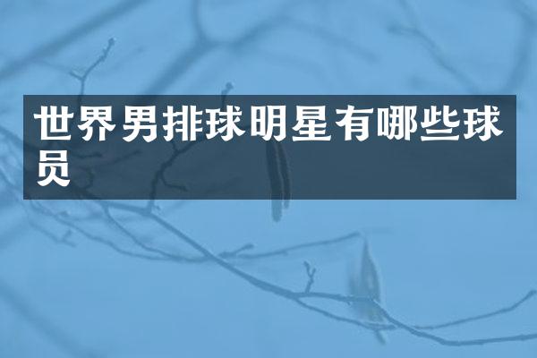 世界男排球明星有哪些球员