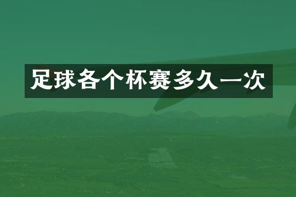 足球各个杯赛多久一次