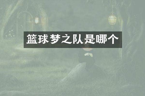 篮球梦之队是哪个