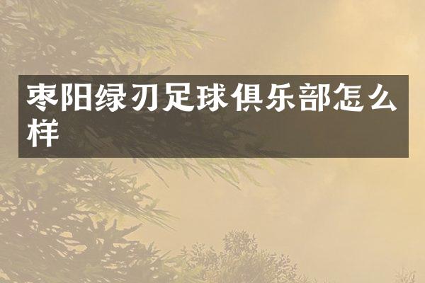 枣阳绿刃足球俱乐部怎么样