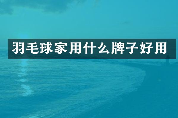 羽毛球家用什么牌子好用