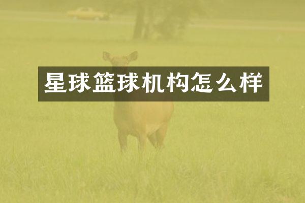 星球篮球机构怎么样