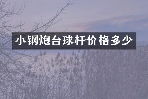 小钢炮台球杆价格多少