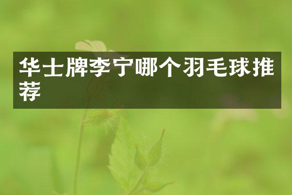 华士牌李宁哪个羽毛球推荐