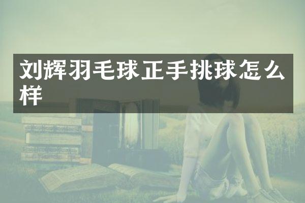 刘辉羽毛球正手挑球怎么样