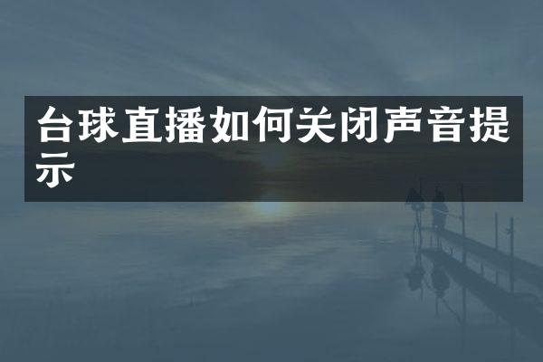 台球直播如何关闭声音提示