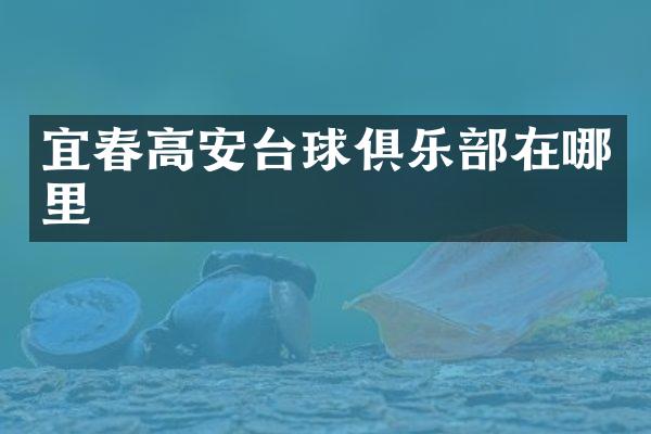 宜春高安台球俱乐部在哪里
