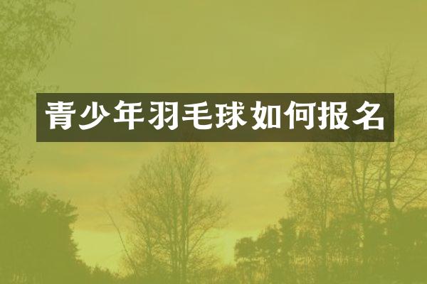 青少年羽毛球如何报名