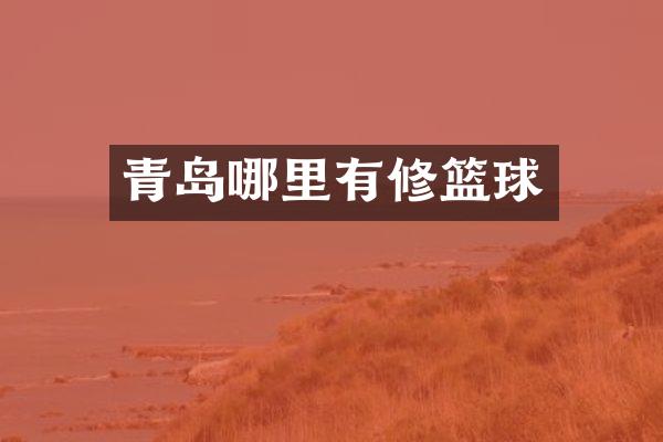 青岛哪里有修篮球
