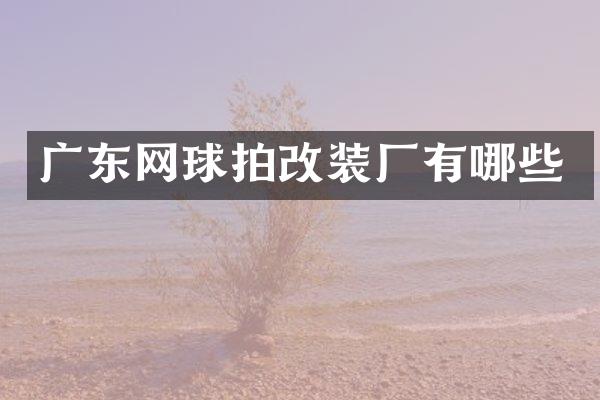 广东网球拍改装厂有哪些