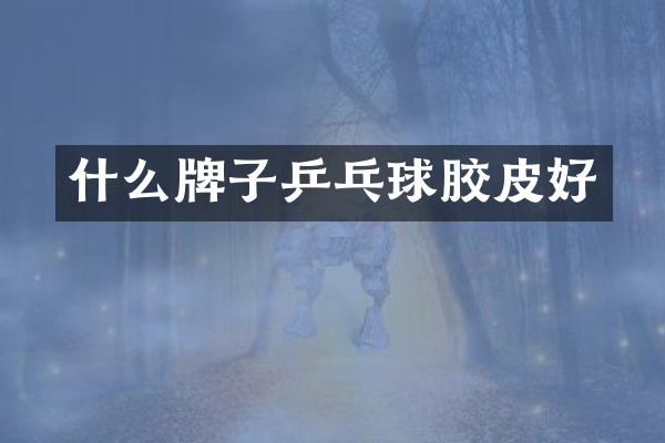 什么牌子乒乓球胶皮好