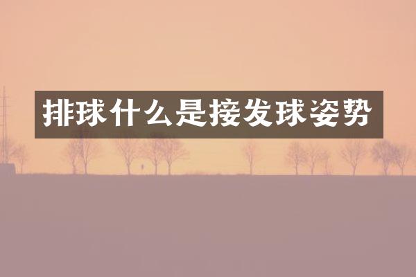 排球什么是接发球姿势