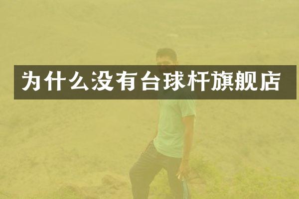 为什么没有台球杆旗舰店