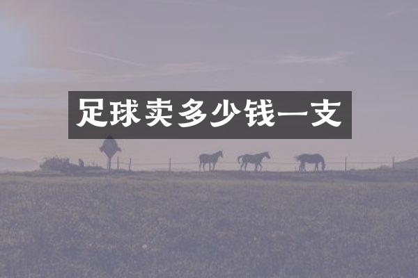 足球卖多少钱一支