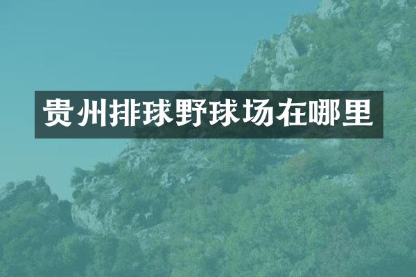 贵州排球野球场在哪里