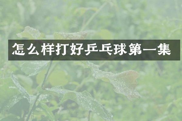 怎么样打好乒乓球第一集