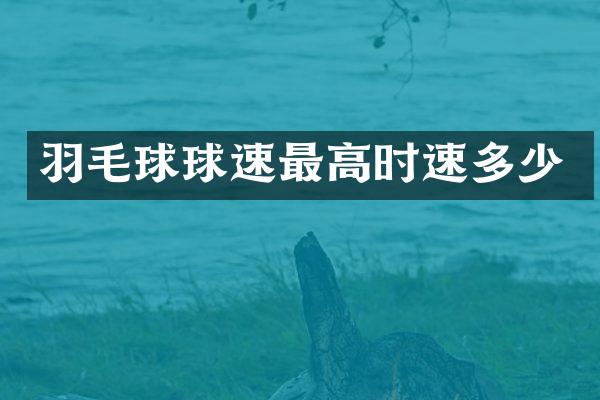 羽毛球球速最高时速多少