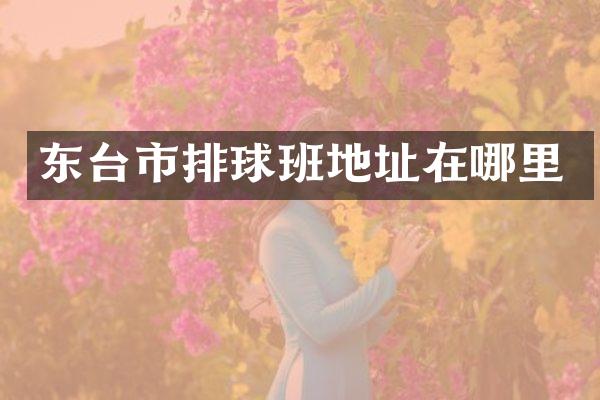 东台市排球班地址在哪里