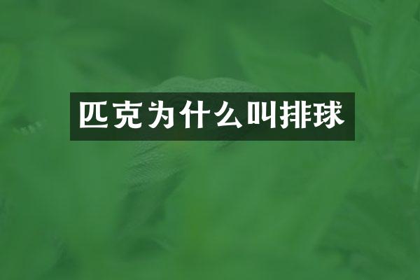 匹克为什么叫排球