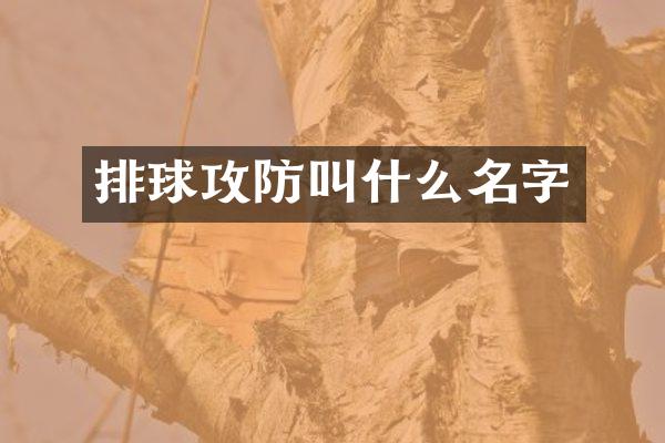 排球攻防叫什么名字