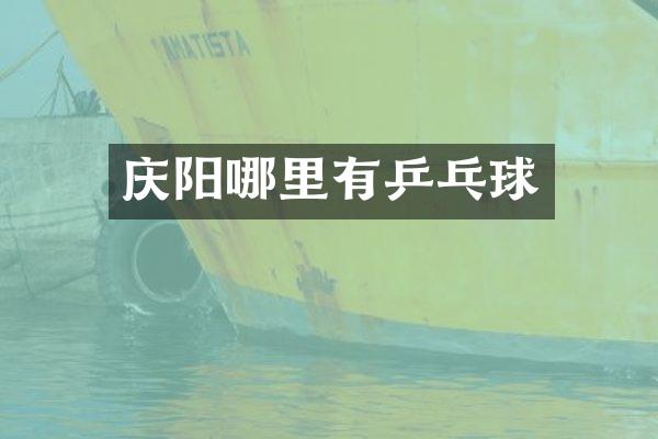 庆阳哪里有乒乓球