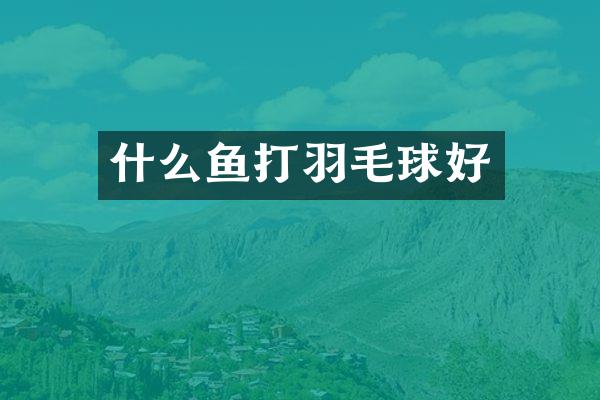 什么鱼打羽毛球好