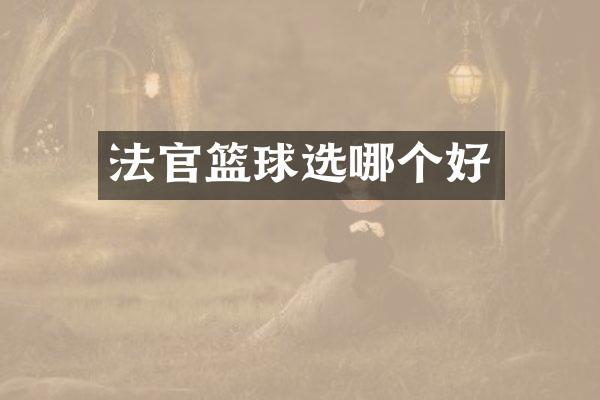 法官篮球选哪个好