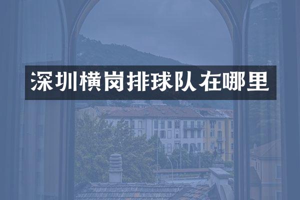 深圳横岗排球队在哪里