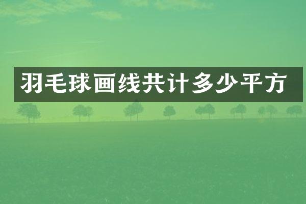 羽毛球画线共计多少平方