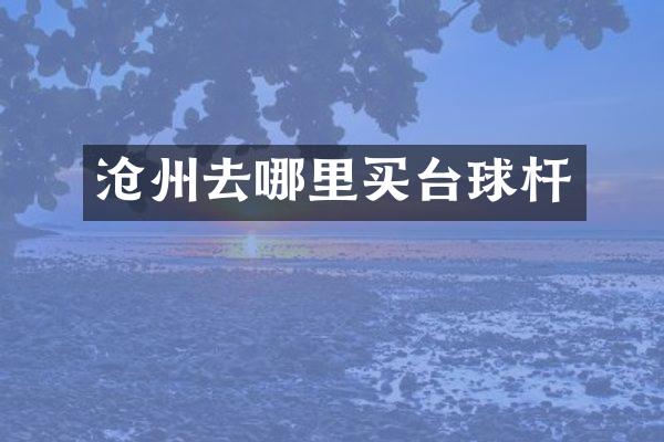 沧州去哪里买台球杆