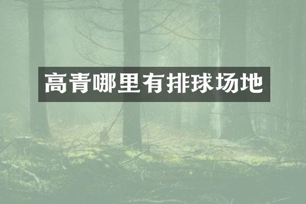 高青哪里有排球场地