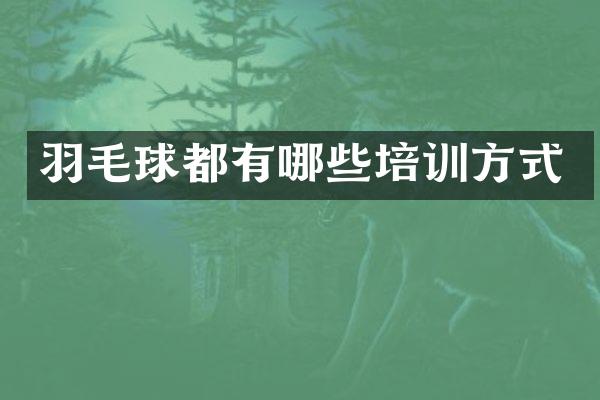 羽毛球都有哪些培训方式