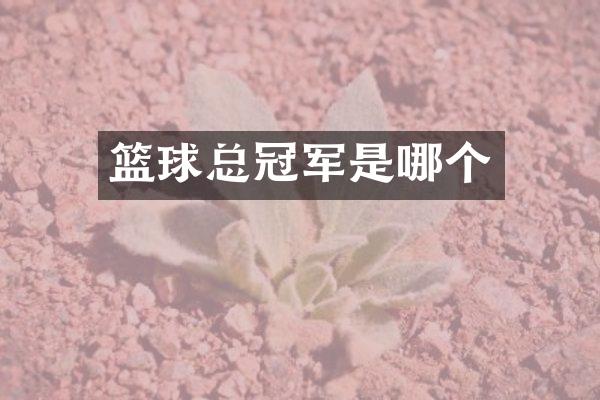 篮球总冠军是哪个
