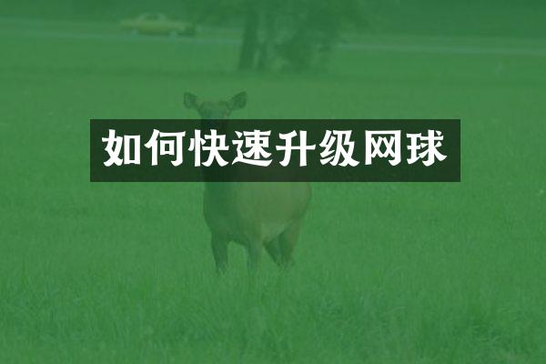 如何快速升级网球