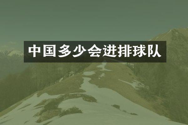 中国多少会进排球队