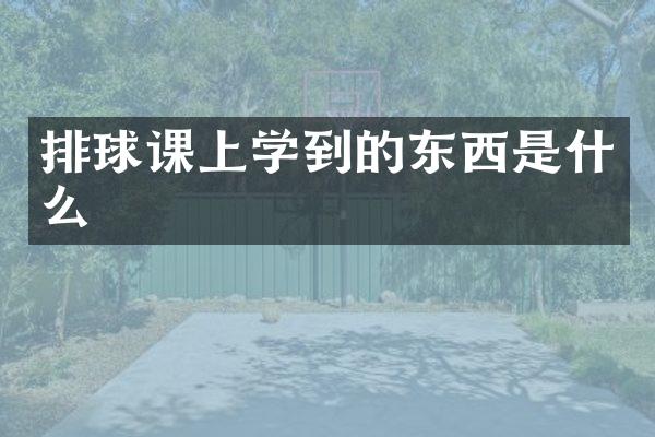排球课上学到的东西是什么