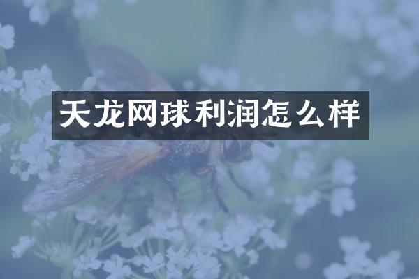天龙网球利润怎么样