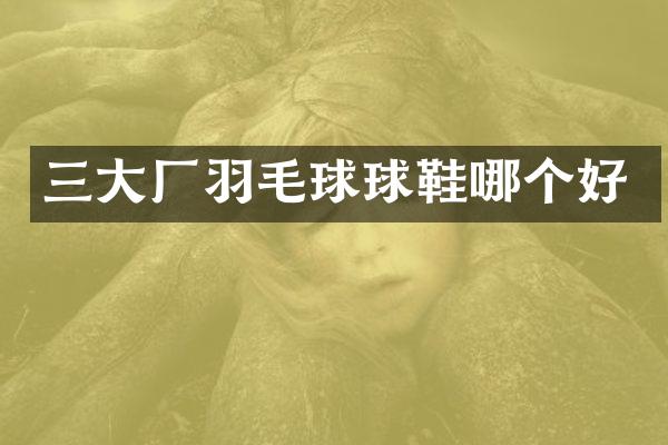 三大厂羽毛球球鞋哪个好