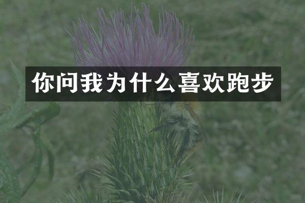 你问我为什么喜欢跑步