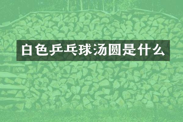 白色乒乓球汤圆是什么