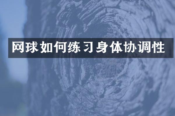 网球如何练习身体协调性