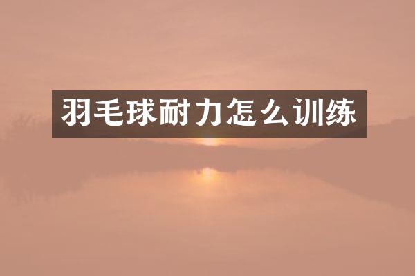 羽毛球耐力怎么训练