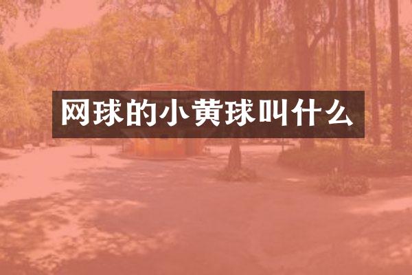 网球的小黄球叫什么