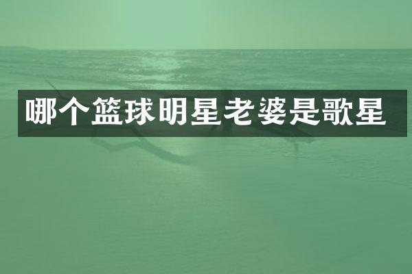 哪个篮球明星老婆是歌星
