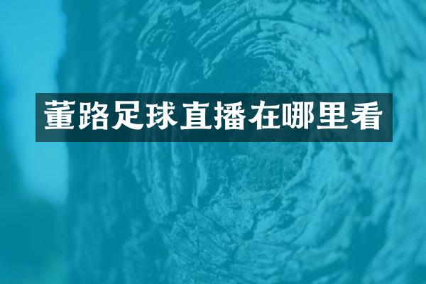 董路足球直播在哪里看