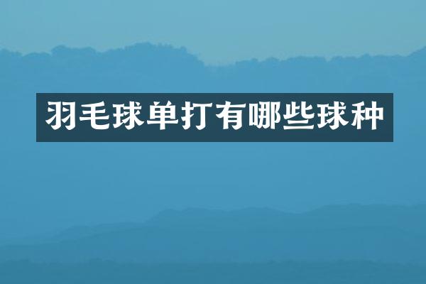 羽毛球单打有哪些球种