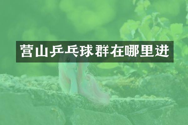 营山乒乓球群在哪里进