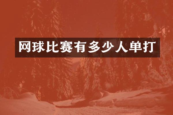 网球比赛有多少人单打