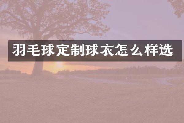 羽毛球定制球衣怎么样选