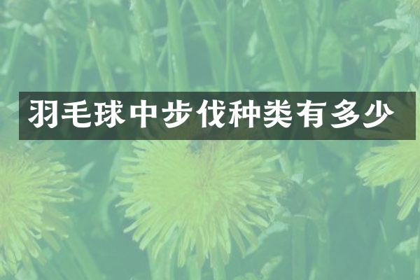 羽毛球中步伐种类有多少